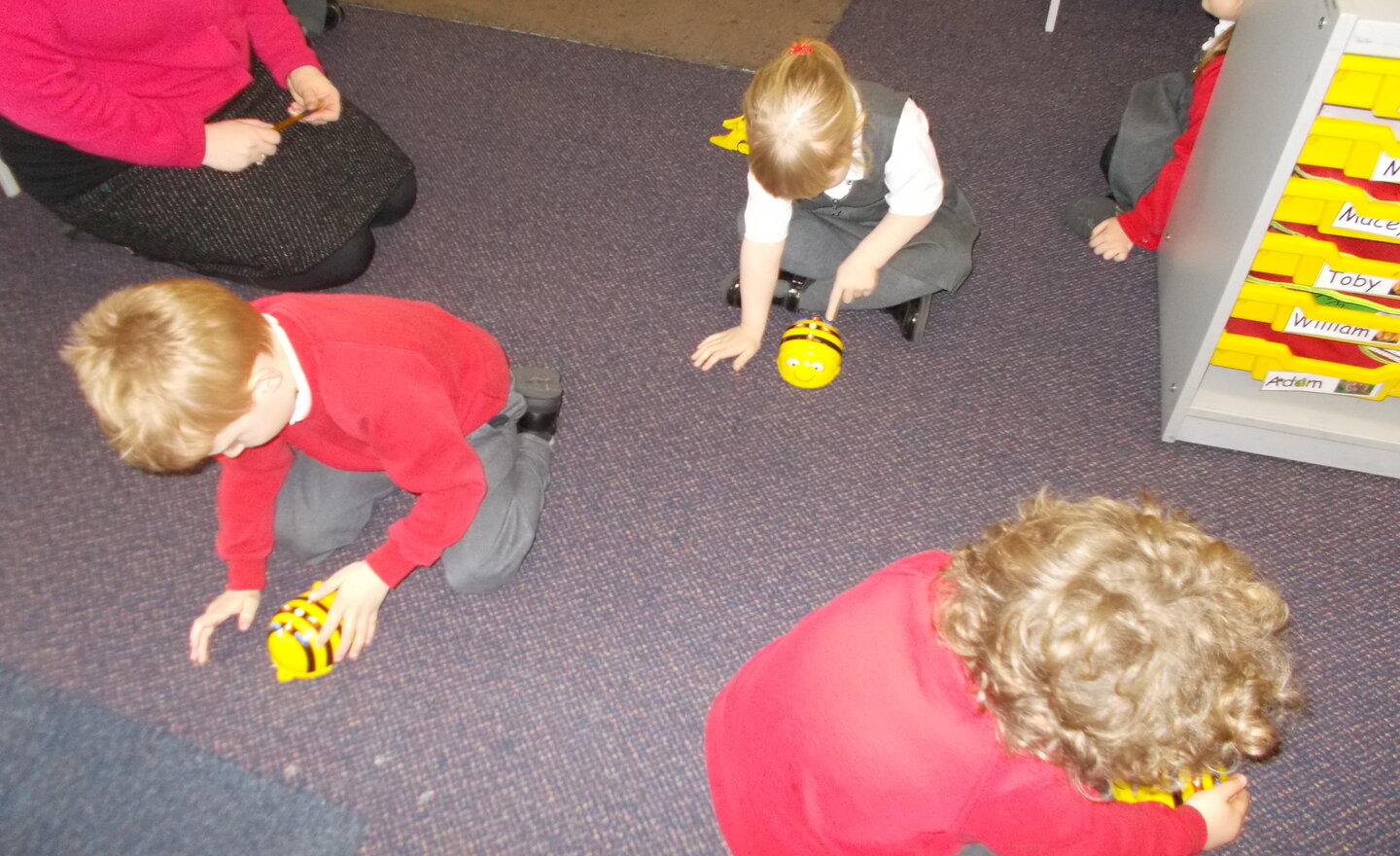 Image of Bee-bots!